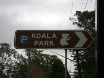 Koala Park ~   It's just a short train ride from Sydney to the Koala Park Zoo.  