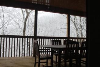 Back Deck View ~ Still snowing