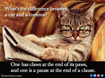 Comma Cat ~ The Difference Between a Cat and a Comma