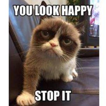 Grumpy Cat - You Look Happy ~  No description included. 