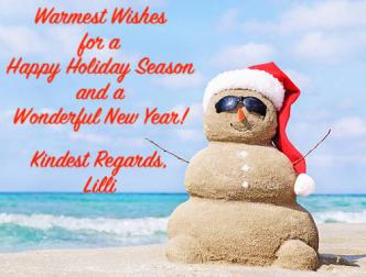 Happy Holidays ~ Holiday Greetings from Florida