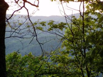 Back Deck View ~ The view from the back deck.  

Gatlinburg, TN