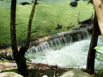 Gatlinburg Trail ~ A four mile round trip trail.  