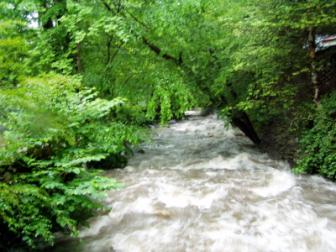 After a rainfall - Gatlinburg, TN ~  No description included. 