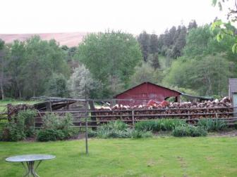 hummerville homestead ~  Mr. Lamb's family homestead and hummingbird circus. 