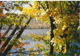 The lake of inspiration ~  an autumn day 