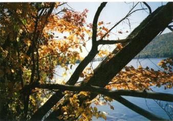 Autumn at the lake - a different view ~                                            A Relaxing Day