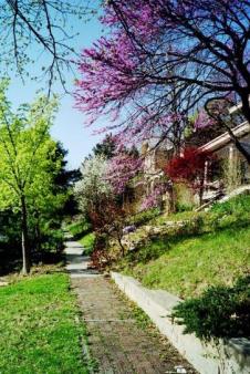 Spring on the slopes of Mt. Oread ~  Lawrence, Kansas. 