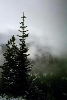 Mt. Rainier enshrouded ~  Reminds me of a Japanese print ... 