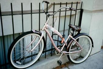 Painted Lady ~  Missoula, MT is a bicycle town. This one is unique! 