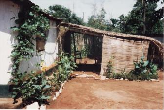 Home Sweet Home, 9/1994 - 5/1996 ~   My house was a painted, mud brick structure with a galvanized tin roof.  This was considered a wealthy person's home, compared to the typical structure built with "non-baked" bricks and grass thatched roof.  I commissioned the thatched-roofed porch in front, and hung locally made bamboo privacy blinds.  The flowers were planted and tended by the "day guard" employed by the Peace Corps to ensure my safety.  The vine growing at the corner of the house was actually green beans, which I picked and ate daily.  Of note: I didn't have electricity, running water, or an indoor bathroom!  ...