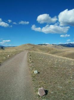 Path north through the North Hills ~  Missoula, Montana, March 2010. 