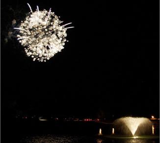 Like a Diamond in the Sky ~  This photo was captured during the 2009 Fireworks Display at a local park for the annual Independence Day celebration.  The quality of this second-generation image leaves a little to be desired.  The original picture, actually, does look like a diamond in the sky. 

Try here for better quality.  [Link: 'https://www.dpchallenge.com/image.php?IMAGE_ID=810353']