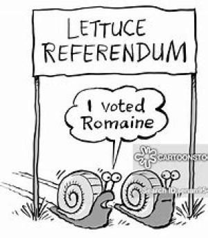 I Voted Snail Mail ~  No description included. 