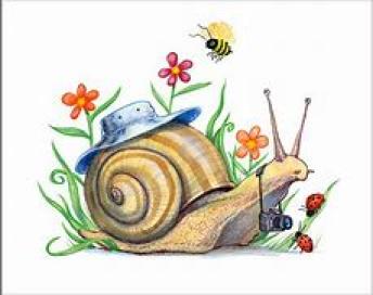 Spring Snail ~  No description included. 