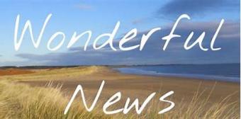 Wonderful News ~  No description included. 