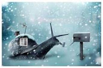 Winter Snail Mail ~  No description included. 