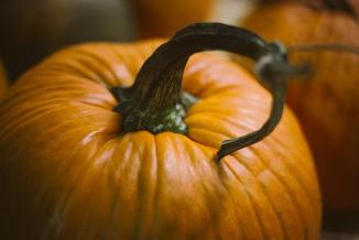 Curly Pumpkin ~ "https://commons.wikimedia.org/wiki/File:Orange_squash_(Unsplash).jpg"

[Link: 'https://upload.wikimedia.org/wikipedia/commons/6/6c/Orange_squash_%28Unsplash%29...']
