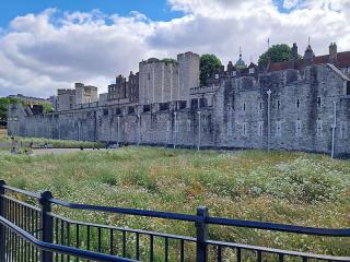 The Moat ~ In summer 2022, to mark the Platinum Jubilee of Queen Elizabeth II, the moat transformed from a barren, flat lawn into a haven for bees, butterflies and other pollinators in the heart of the city. The moat was filled with wildflowers, grown from 20 million seeds.